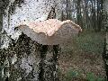 DSCN0143.JPG