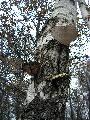 DSCN0144.JPG