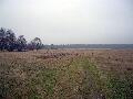 DSCN0157.JPG